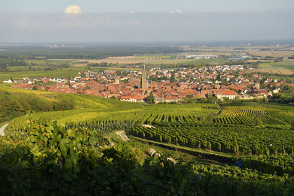 France, Dambach la Ville