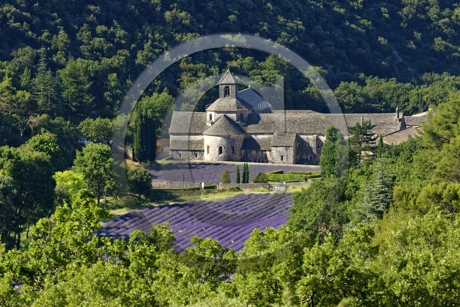 France, Senanque