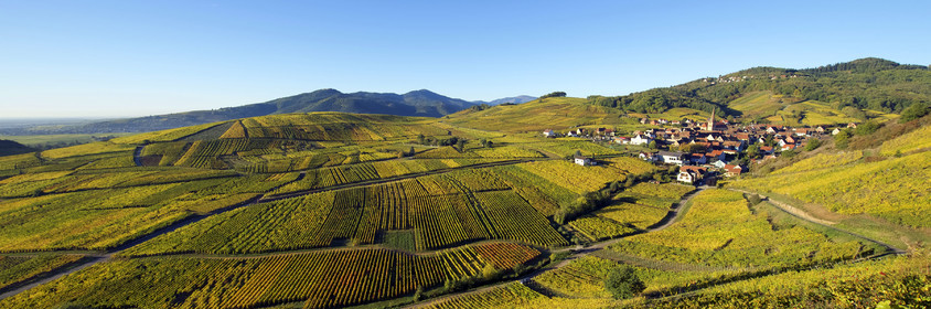 France, Niedermorschwihr