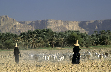HADRAMAOUT, YEMEN