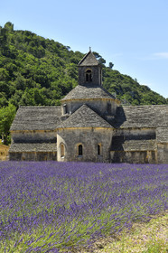 France, Senanque