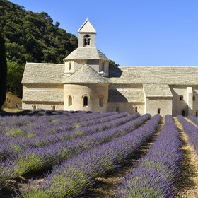 France, Senanque