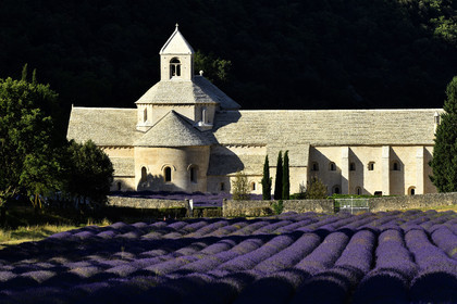 France, Senanque