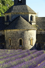 France, Senanque