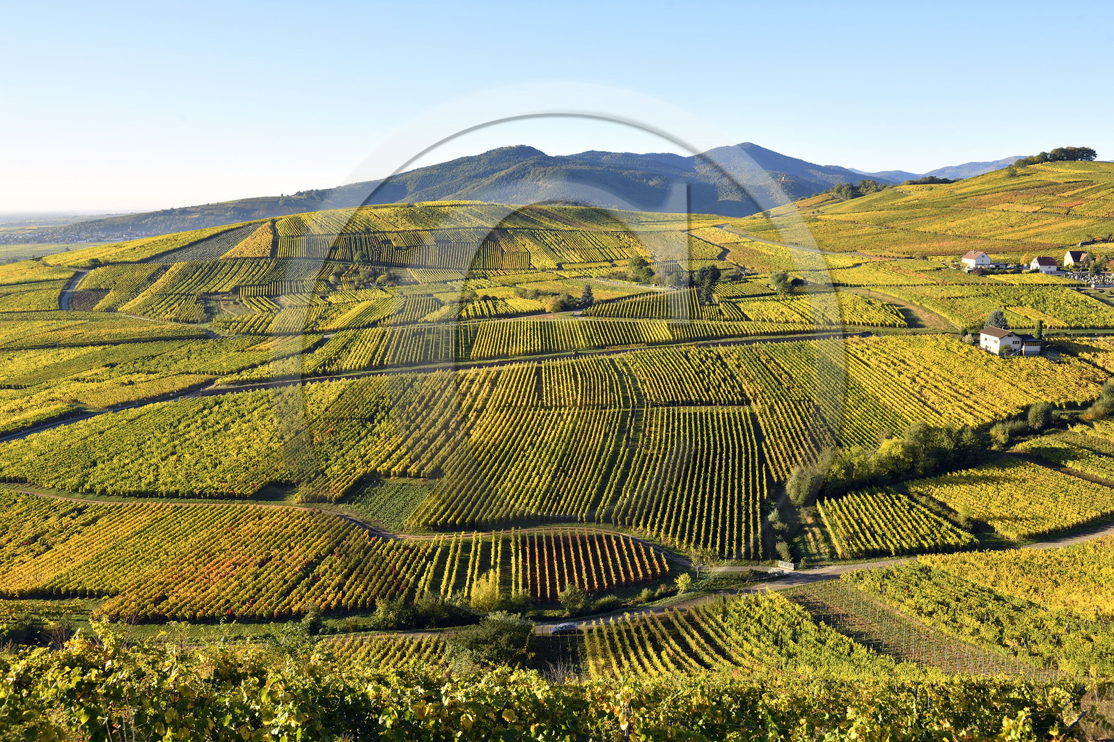 France, Niedermorschwihr