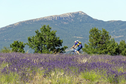 France, Sault