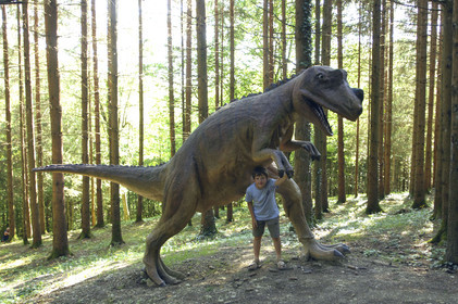 Franche-Comte, France