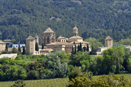Espagne, Poblet