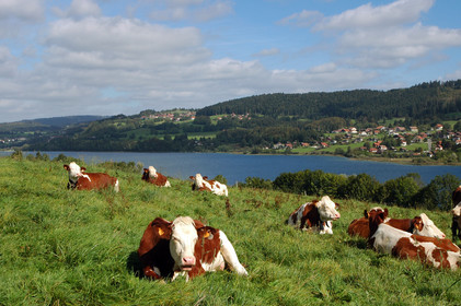Franche-Comte, France