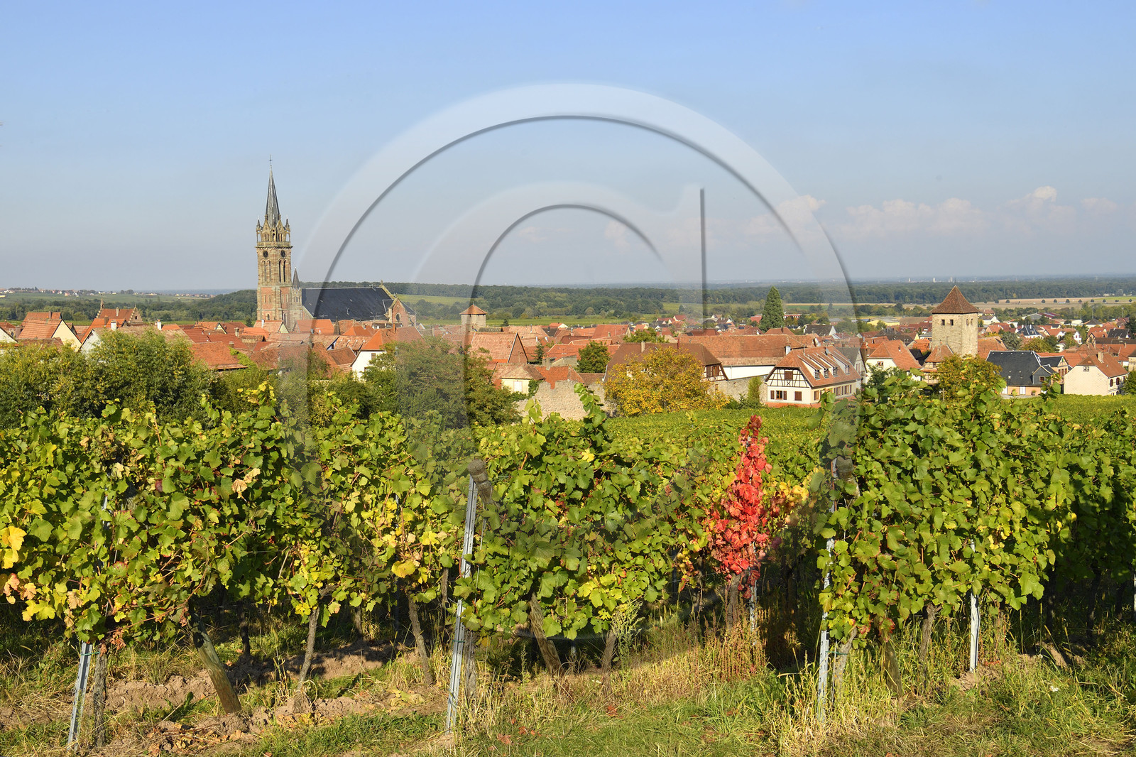 France, Dambach la Ville