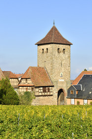 France, Dambach la Ville