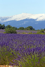 France, Sault