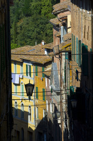 Siena, Toscana, Italia