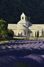 France, Senanque