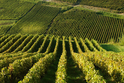 Franche-Comte, France