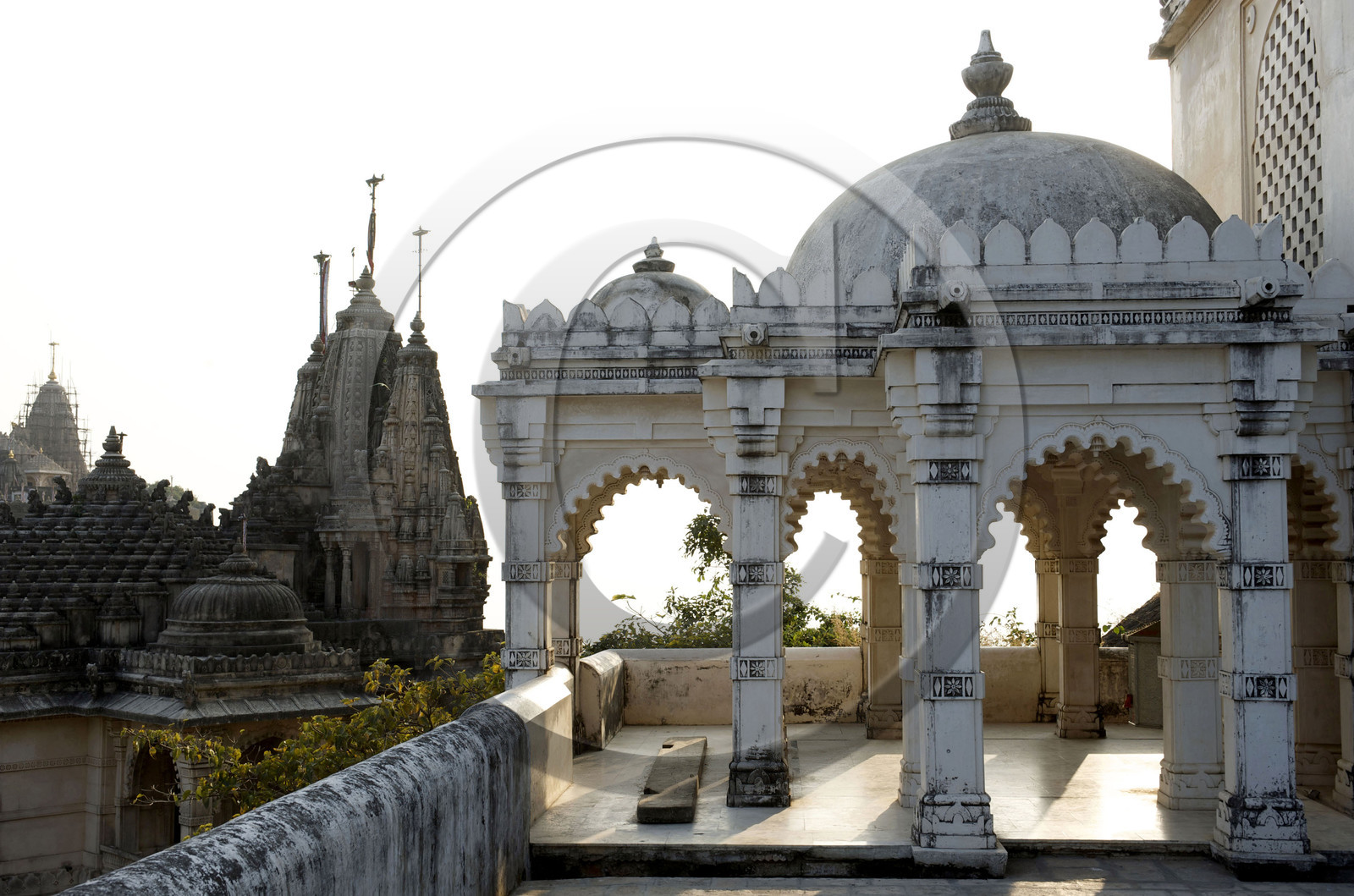 Inde, Palitana