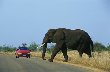 AFRIQUE DU SUD
