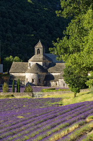 France, Senanque