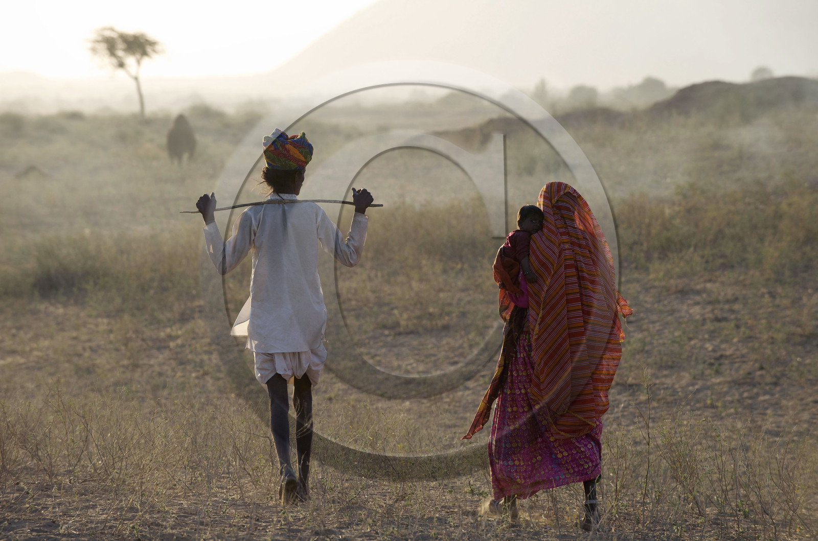 Inde, Pushkar