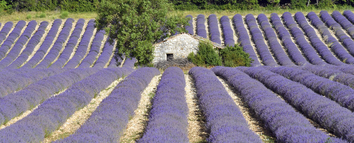 France, Sault