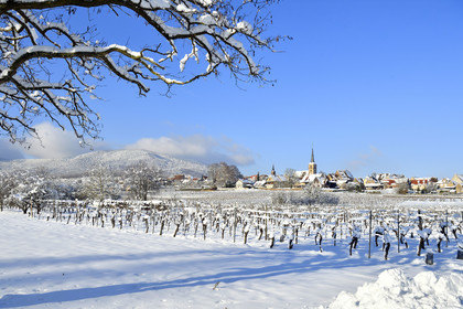 France, Mittelbergheim