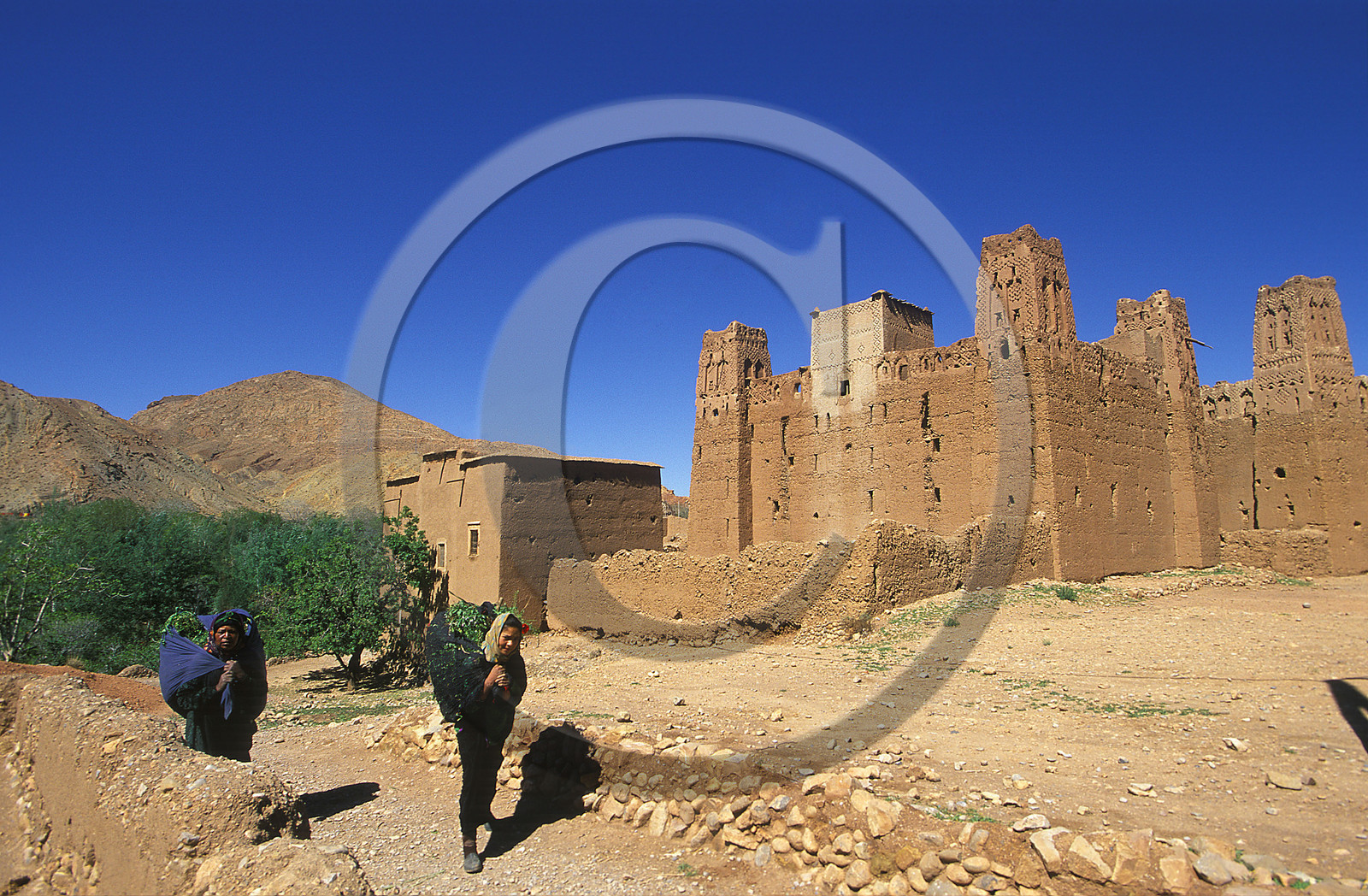 MAROC   VALLÉE DU DADES