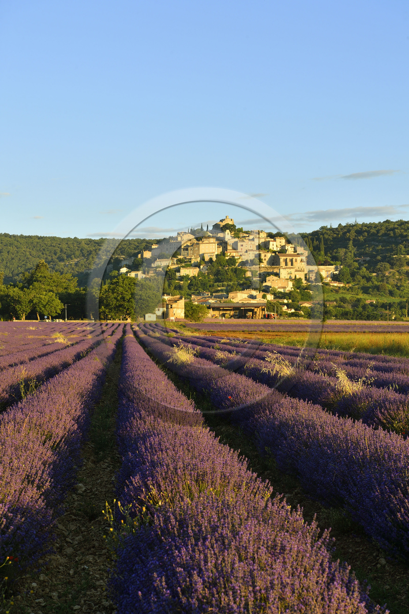 France, Simiane la Rotonde