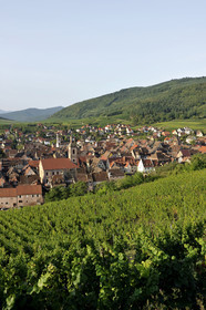 France, Riquewihr