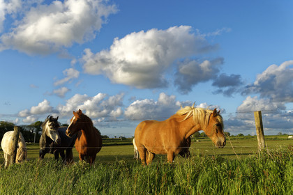 France, St Thegonnec