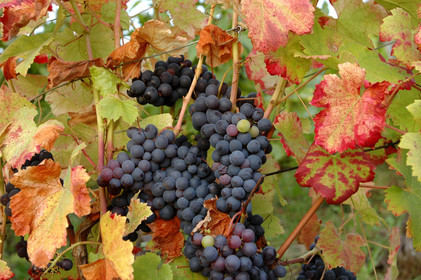 Franche-Comte, France