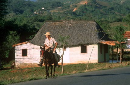 RÉGION DE VINALES.CUBA