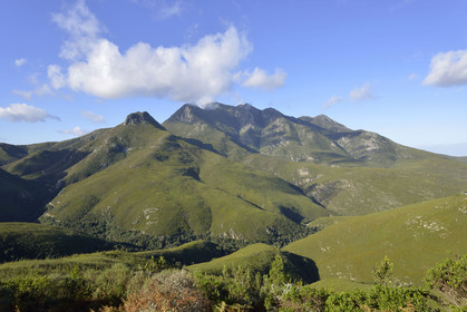 AFS, Outeniqua