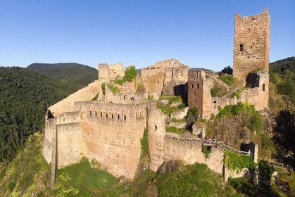 France, Ribeauville