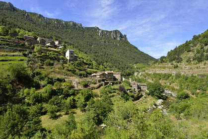 France, Jonte