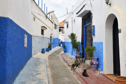 Maroc, Rabat