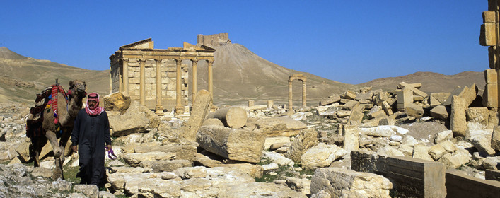 Palmyre, Syrie