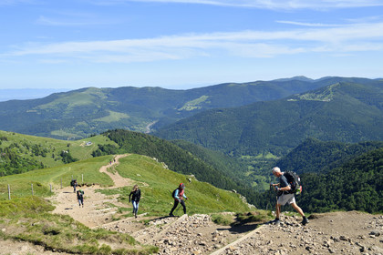 France, Vosges