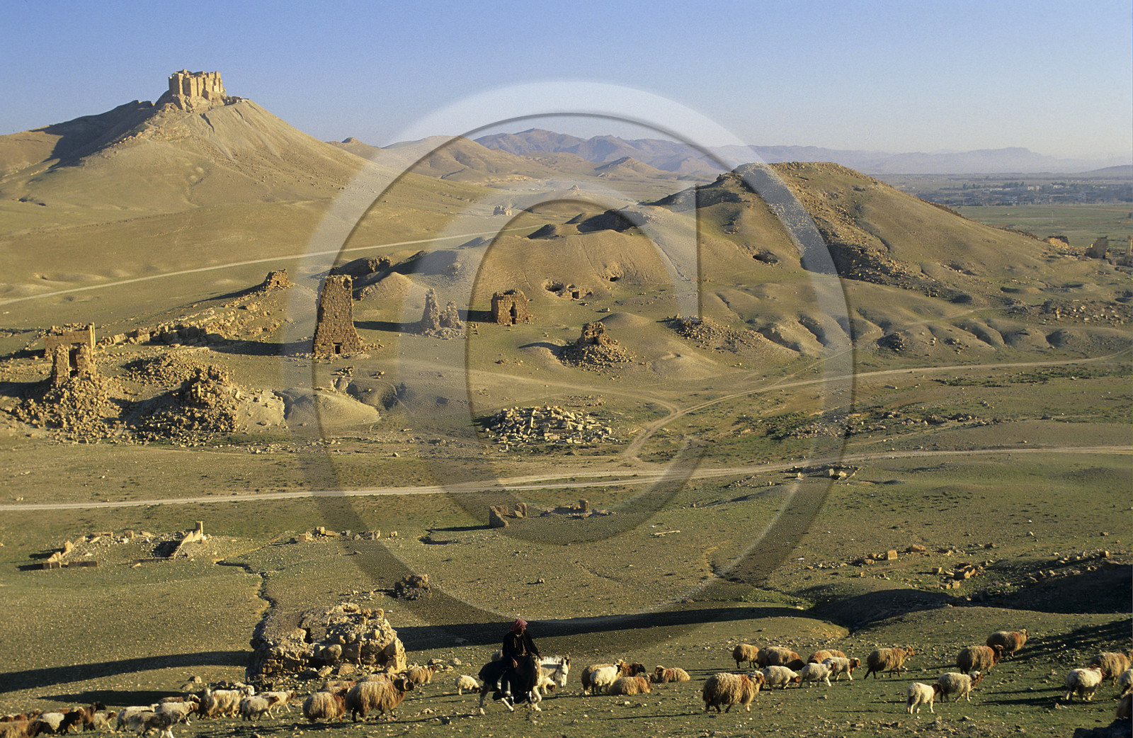 Palmyre, Syrie