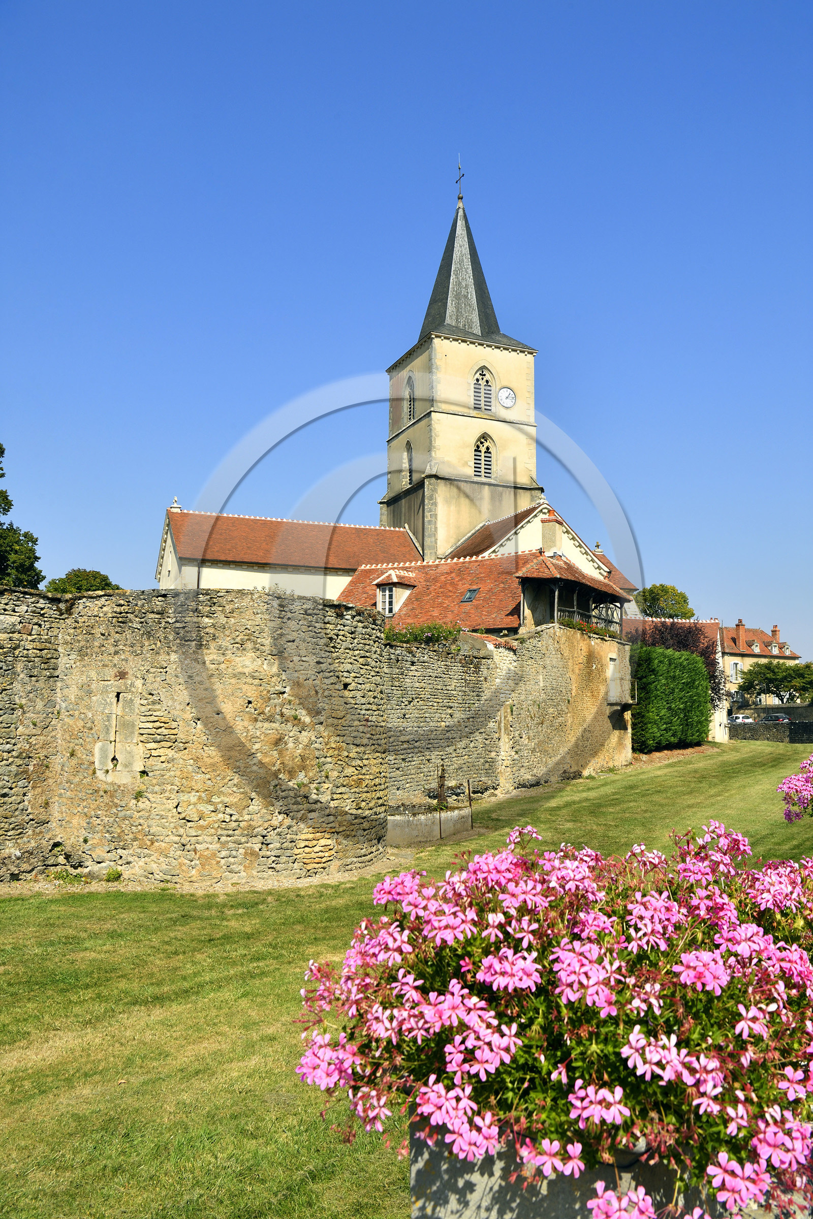 France, Epoisses