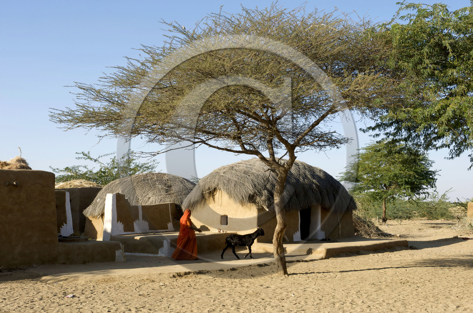 Inde, Jaisalmer