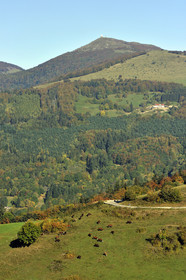 France, Grand Ballon