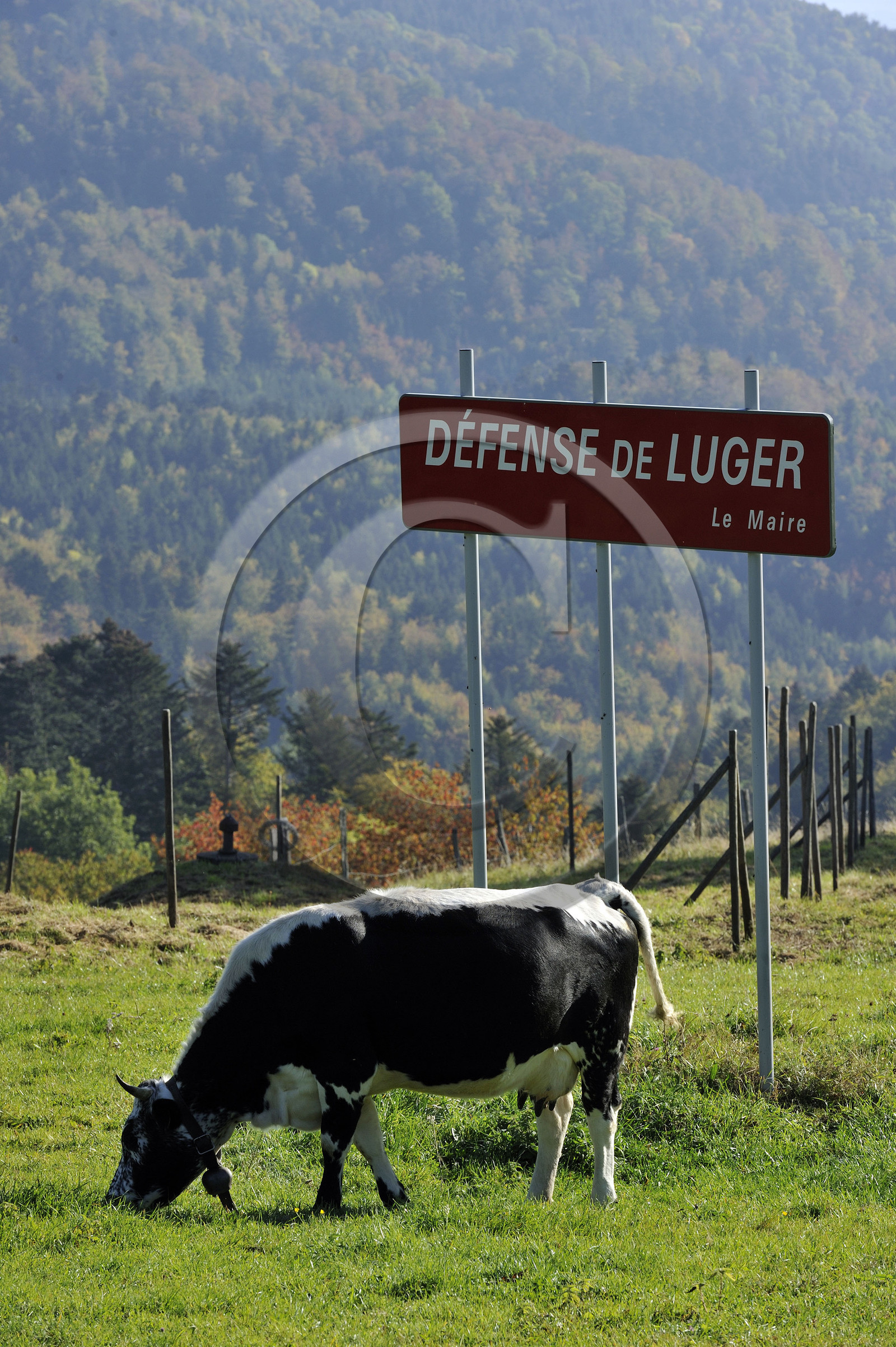 France, Grand Ballon
