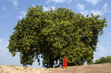 Inde, Gujarat