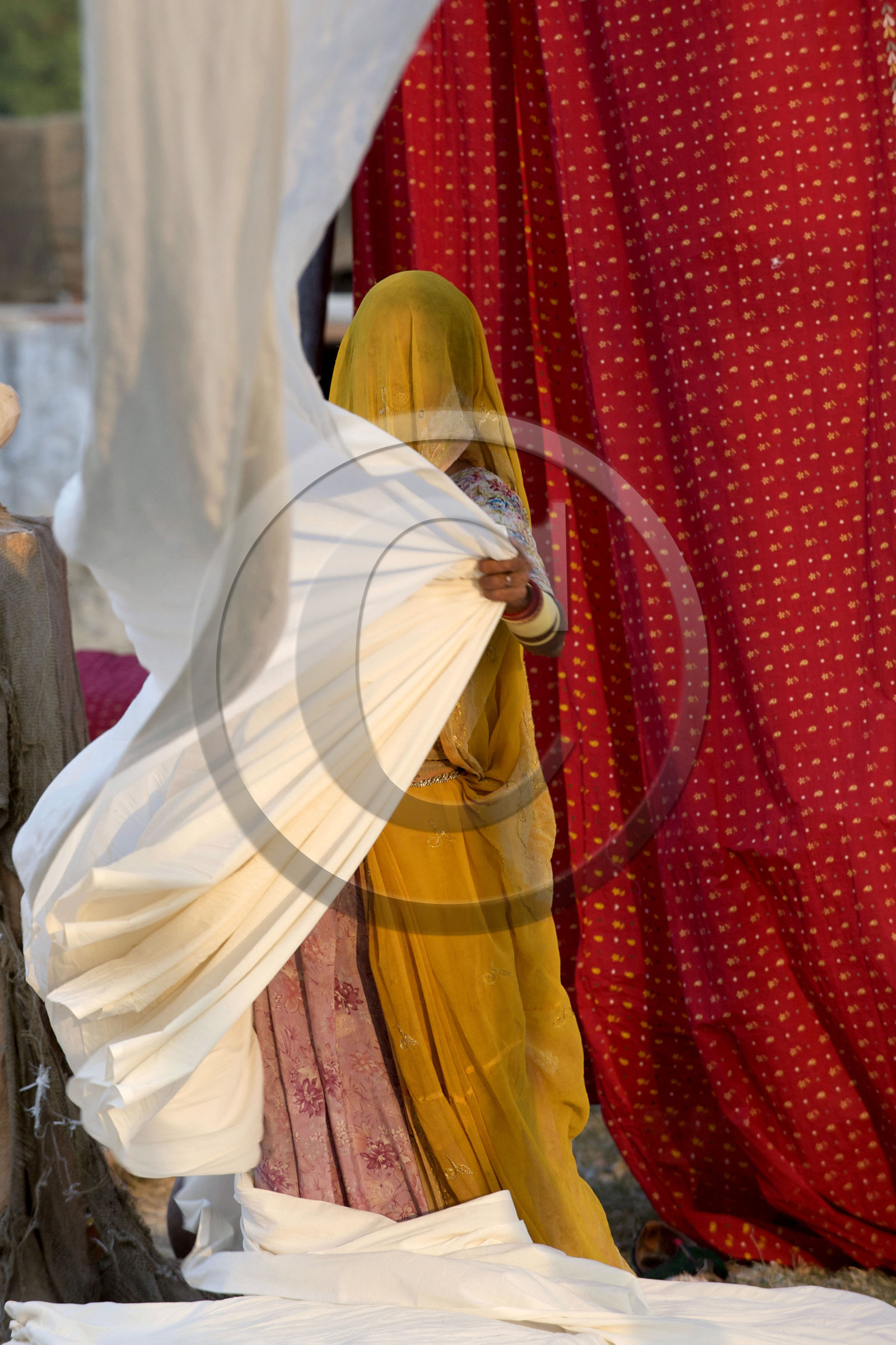 Inde, sari