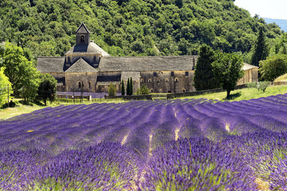 France, Senanque