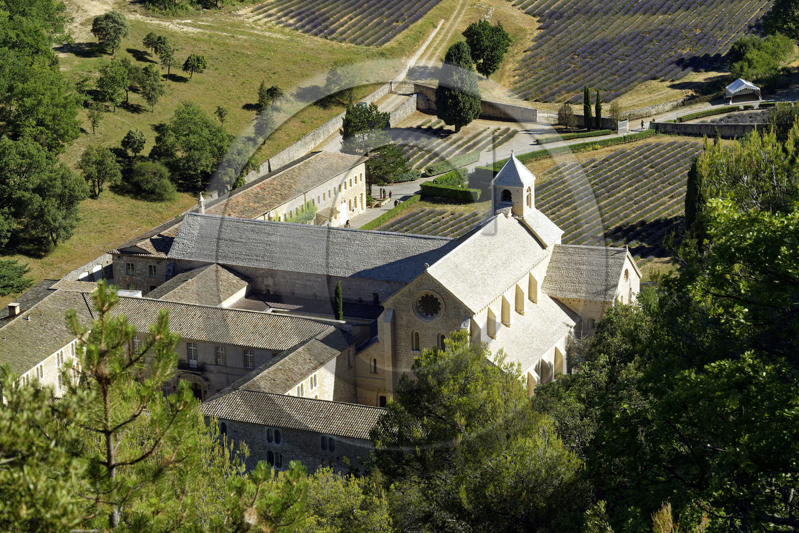 France, Senanque