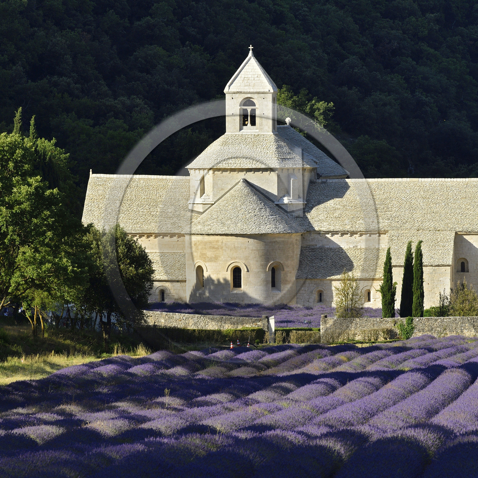 France, Senanque