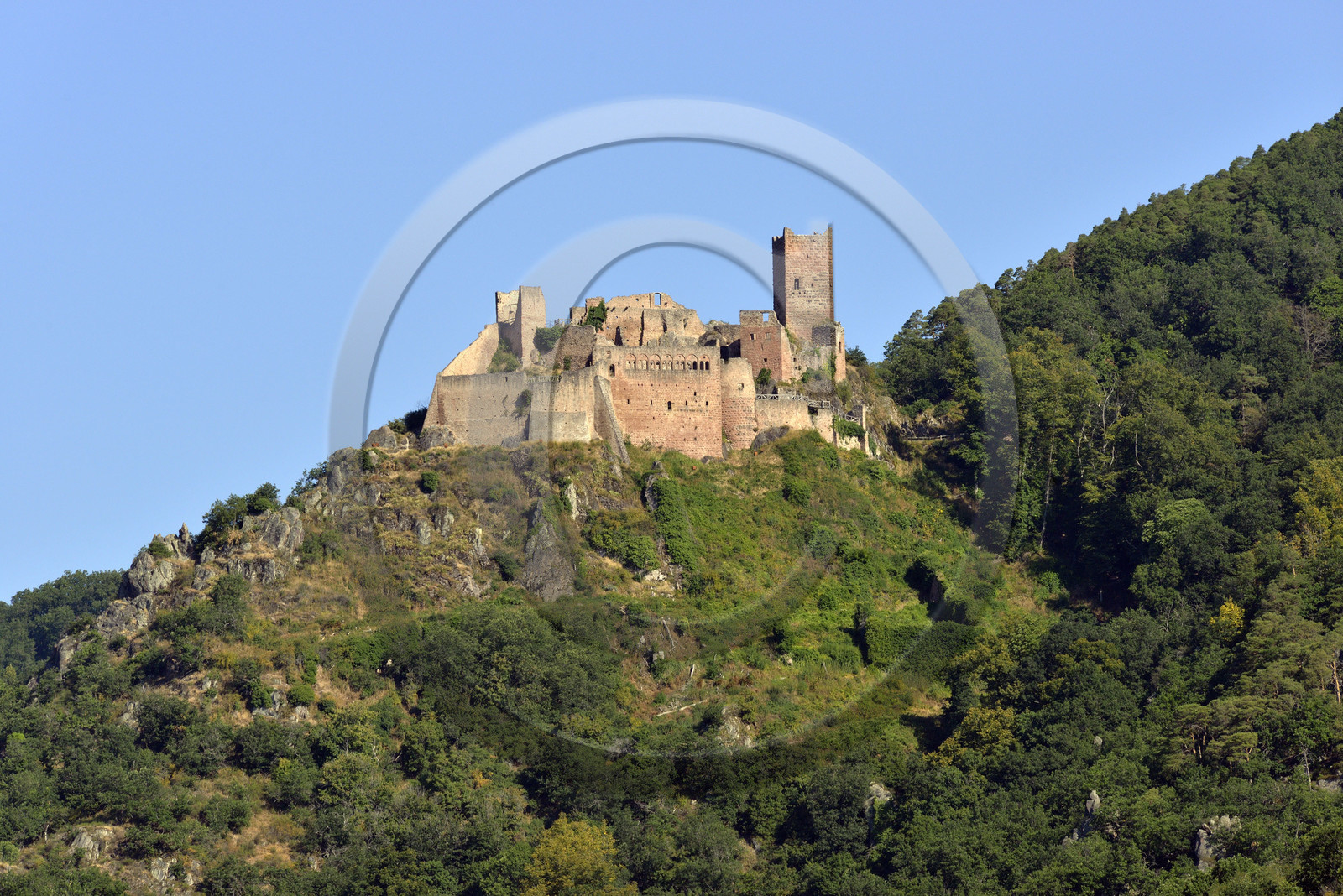 France,  Ribeauville