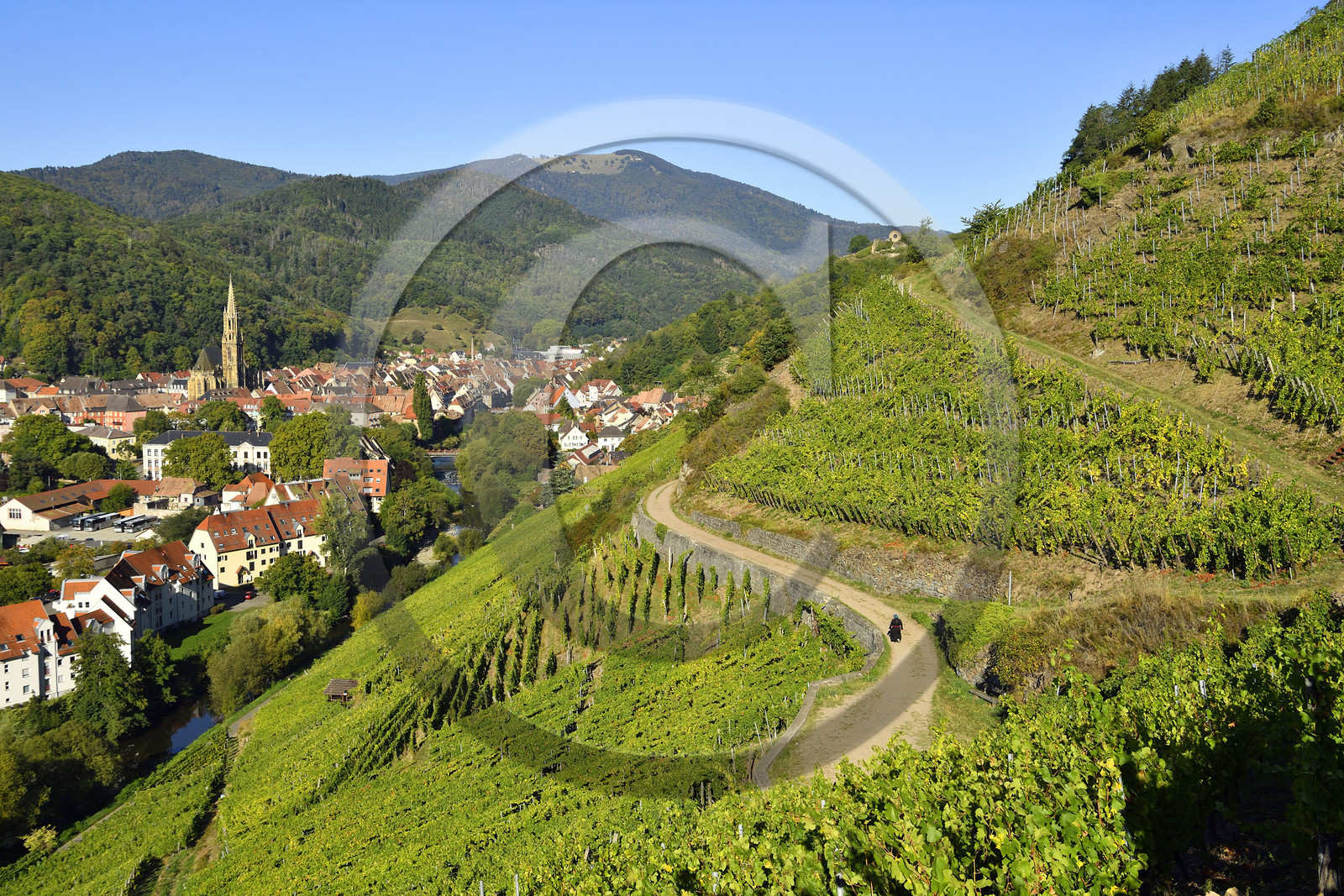 France, Thann