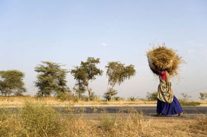 Inde, Gujarat